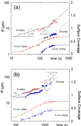 Fig. 6. Development of drop radius and surface coverage in a valley (white triangles) and on a bump (dark triangles) for two different elytræ and flow rates