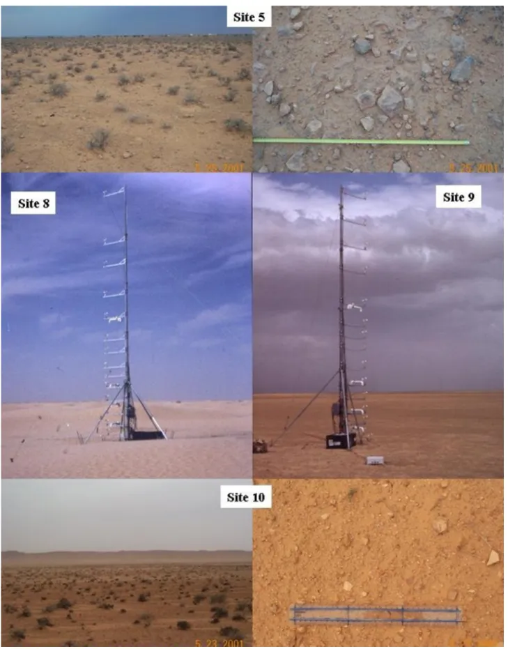 Figure 2. Photographs of representative examples of the sites investigated, showing the experimental setup and the range of roughness sampled (vegetation + pebbles): site 5 (Maouna), a rough site; site 10 (Bir Zoui) a moderately rough site; and sites 8 (Do