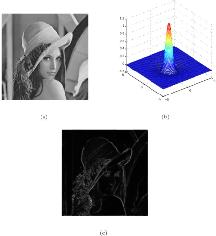 Figure 10: Behavior of the dog filter when applied to Lena with biologically plausible parameters