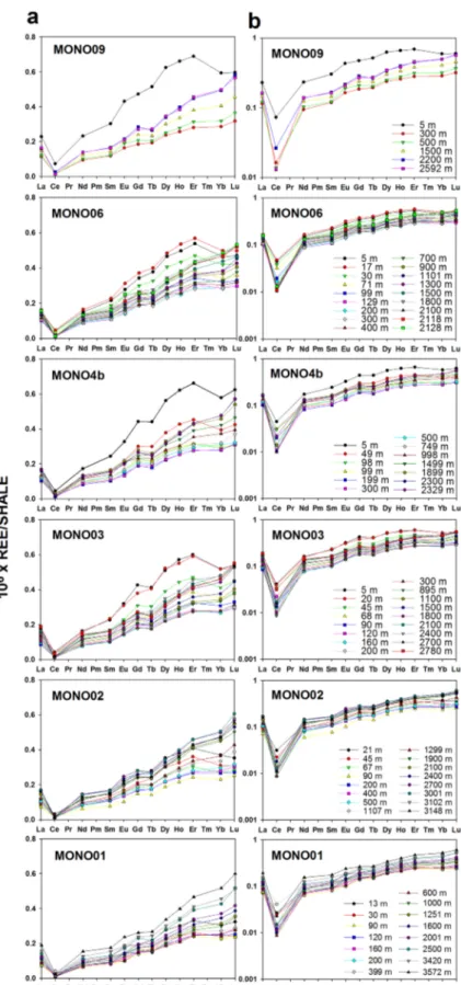 Figure 3. REE patterns for each station normalized to Post-Achaean Australian Shale (PAAS) [Taylor and McLennan, 1985], plotted on both (a) linear scale and (b) log scale.