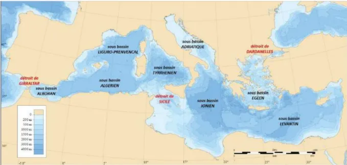 Figure 2 : Carte du bassin méditerranéen avec et localisation des principaux sous- sous-bassins (Millot et Taupier-Letage, 2005)