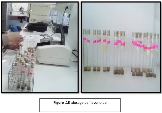 Figure .18 :dosage de flavonoide 