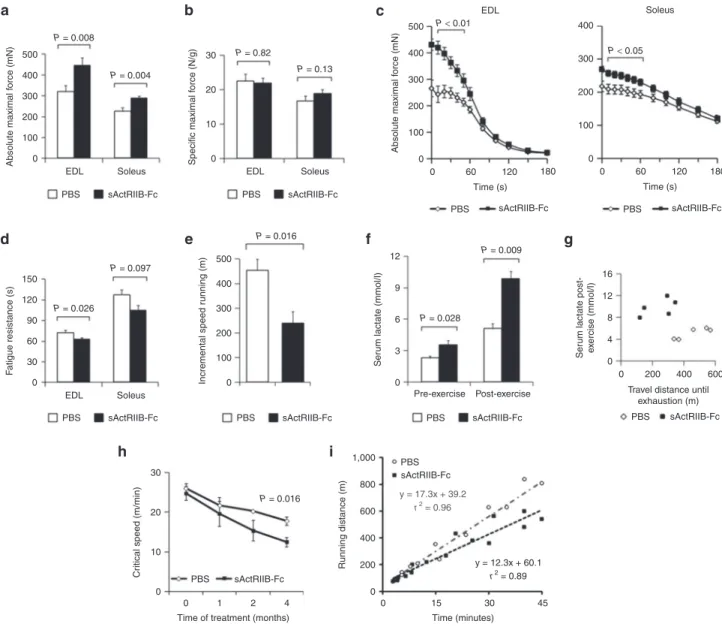 Figure 1  Treatment of adult wild-type mice with soluble activin IIB receptor (sActRIIB-Fc)