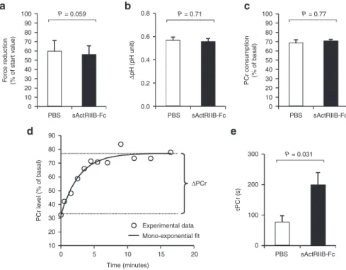 Figure 5 In vivo investigation of muscle function and oxidative metabolism in mdx calf muscles by noninvasive  31 P-MRS