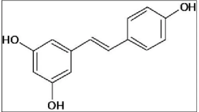 Figure 05 : Structure chimique dutrans-resvératrol. 