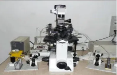 Figure 10 : microscope inversé doté de micromanipulateur  joystick(photo :  Denis  NECCI, ; 2017 )  