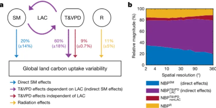 Fig. 2 | Direct and indirect soil moisture effects on NBP variability.  