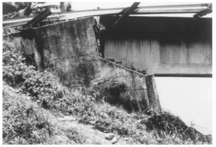 Fig. I.6 Abutment Failure during the 1991 Costa Rica Earthquake  (Viewed on http:/