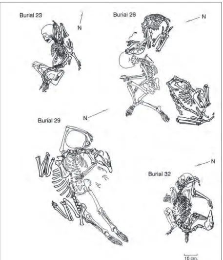 Figura 8. Contexto de niños y camelidos registrado por Donnan en Huanchaco. (Tomado de Donnan y Foote 1978).