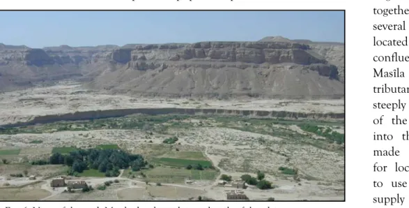 Fig. 6: View of the wâdî Masîla deeply sunk into the silt of the plain 