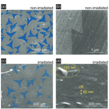 Fig. 2 SEM images of non-irradiated (a), (b) and ion-irradiated (c), (d) MoS 2 monolayers deposited on GC