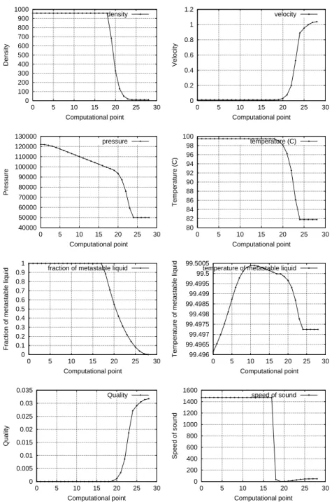 Figure 6: Profiles of steady solutions for the problem of fall in pressure using ECREVISSE model