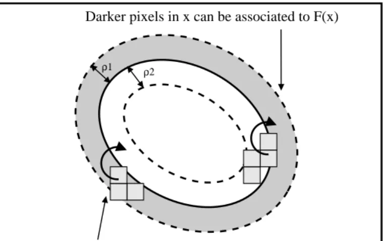 Figure 11: An ellipse and its corrected boundary F ρ (x).