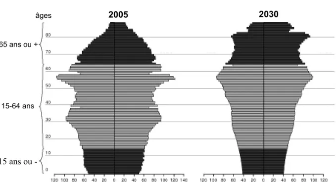 Figure 2 : Changement de structure de la population japonaise : prospective gouvernementale 