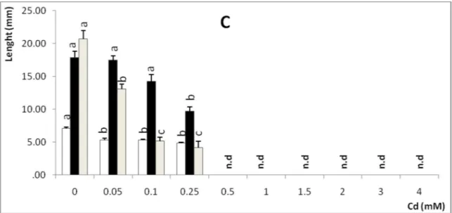 Figure 1 Effect of heavy metal on seedling growth of A. halimus subsp. Schweinfurthii