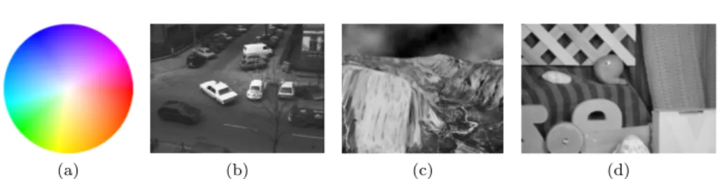 Figure 2: Experimental protocol. (a) Middlebury colour disk mapping motion direction to hue and speed to saturation, and tested videos: (b) Hamburg taxis sequence with three cars moving; (c) Yosemite sequence with clouds (Barron et al, 1994); (d) Rubber–wh