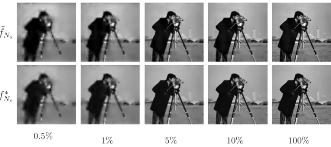 Figure 7: Reconstruction of the cameraman image f using different percentages of the highest c kij 