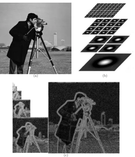 Figure 1: Illustration of the retinal image transform applied on cameraman 1(a).