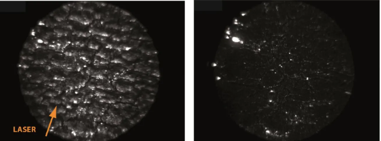 Figure 5. PEEM images of the same area of the opal sample under 800 nm illumination in p (left) and  (s) (right) polarization respectively