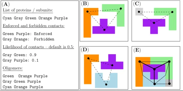 Figure 1 (Minimum) Connectivity Inference from oligomers and a-priori information on contacts: illustration on a fictitious system