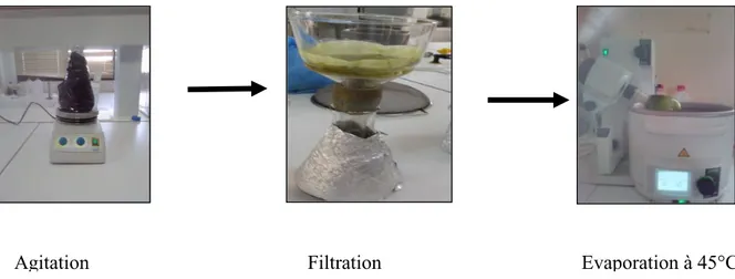 Figure 5 : Méthode d’extraction de l’extrait hydroethanolique de Rosmarinus officinales.