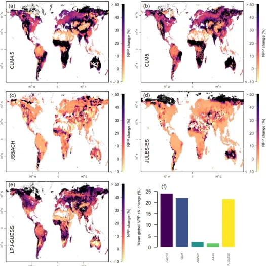 Figure 3. Model estimates of 1996–2005 mean net primary productivity (NPP) response to +N