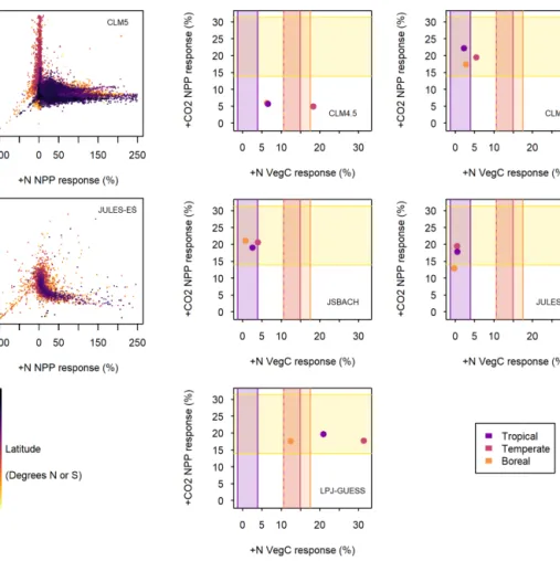 Figure 4. Model estimates of 1996–2005 mean net primary produc- produc-tivity (NPP) response to + N vs