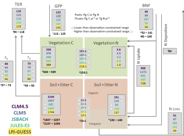 Figure 1. 1996–2005 mean model estimates of the major ecosystem C and N component pools and fluxes in comparison with observation- observation-based estimates from the literature