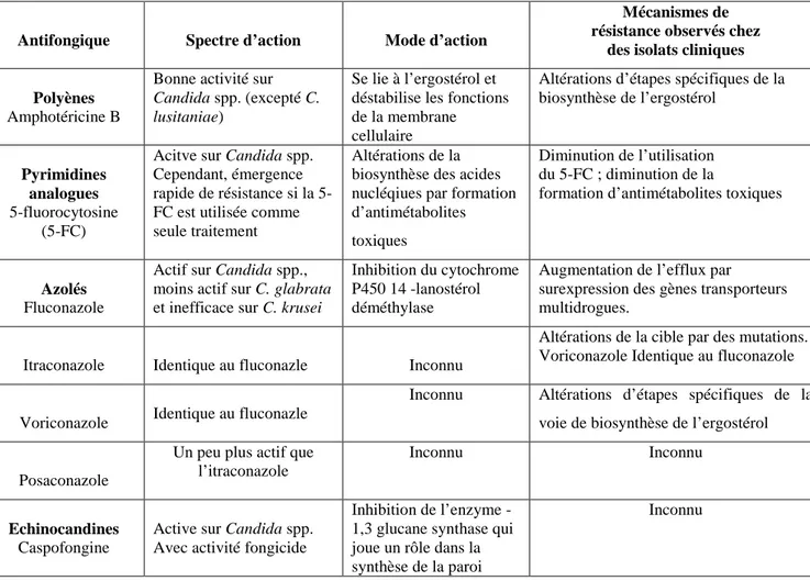 Tableau 4.  Activités, modes d’action des principales molécules anti-Candida et mécanismes  de résistance des Candida