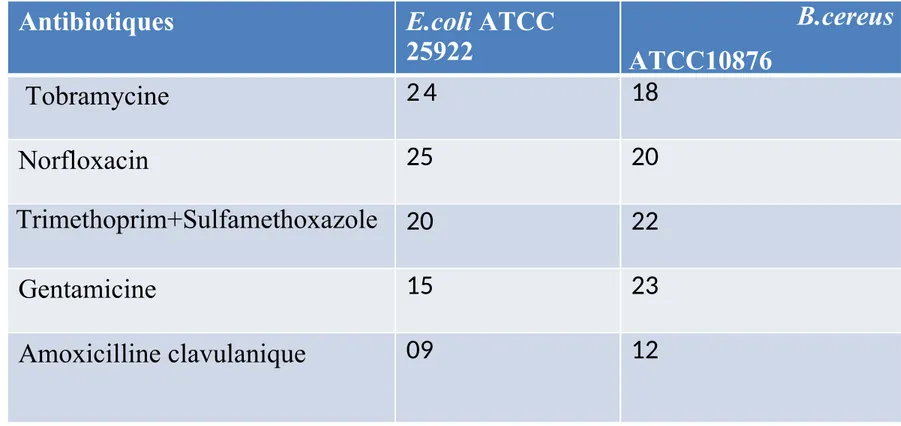 Tableau n°01 : Zone d’inhibition des antibiotiques sur E.coli et B.cereus  (en millimètre)