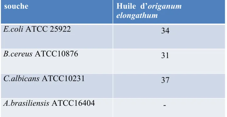 Tableau n°03 : effet de l’huile essentielle d’Origanum elongathum  provenant de Nedroma sur les quatre souches (E.coli, B.cereus,  C.albicans, A.brasiliensis).