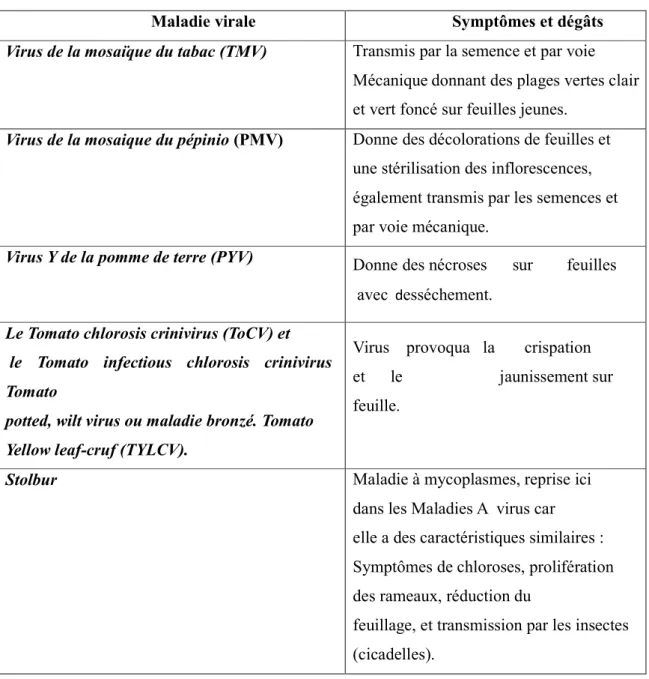 Tableau 05 : Maladies virales de la tomate (Pyron, 2006)