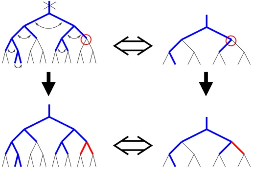 Fig. 5: The bijection between “saturated” binary trees (top left) without bivalent vertices and ordinary binary trees (top right), obtained by erasing the root edge and squeezing all pairs of descendants into single links