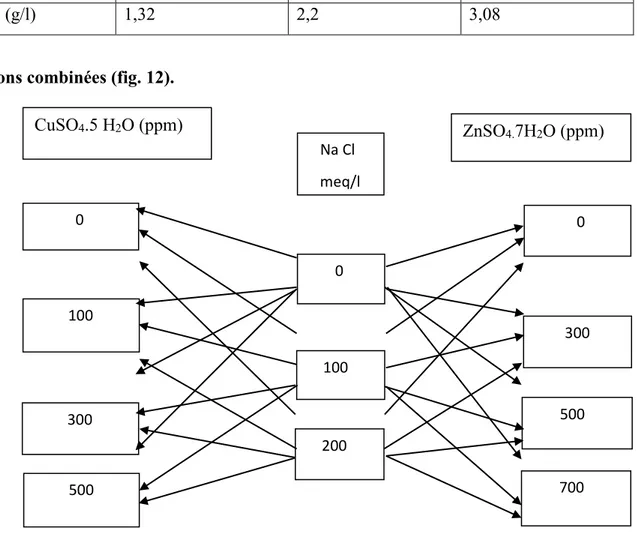 Figure 12 : Dispositif expérimental des différentes concentrations.  