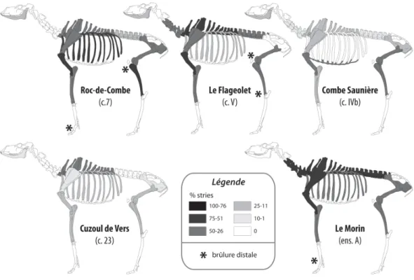 Figure 7 : Fréquence des stries de décharnement relativement au Nombre de Restes par  élément squelettique et localisation des brûlures distales 