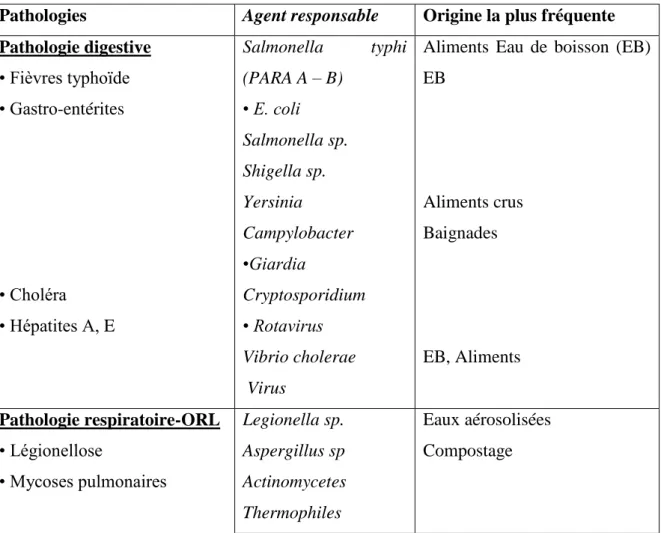 Tableau 02: Principales infections humaines transmissibles par l’eau (Hartemann , 2004)