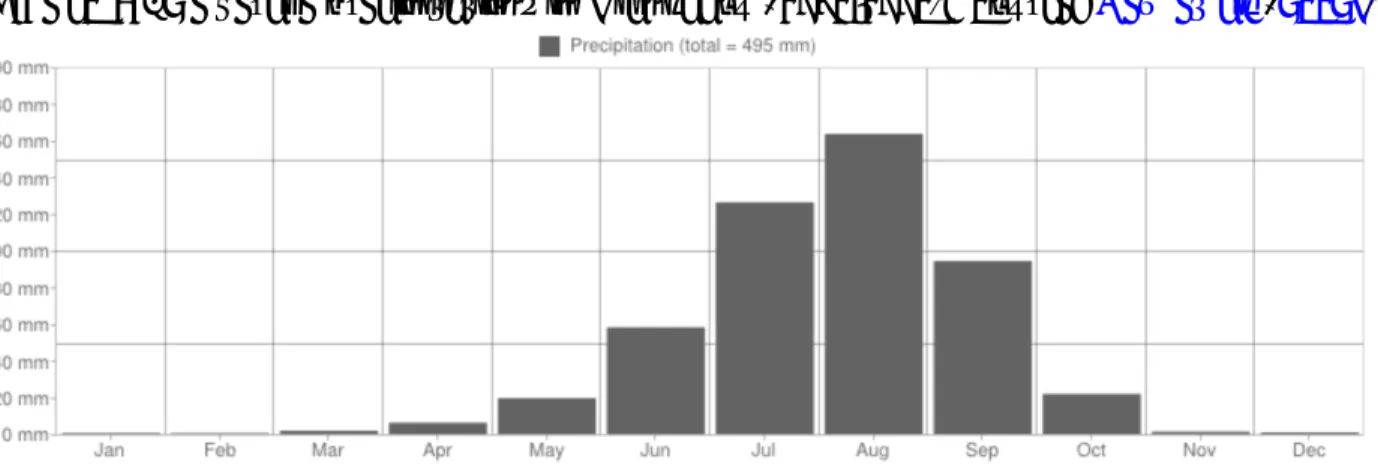 Figure A1: Average precipitations in Diankabou (1961-1990). Source: New et al. (2002b)