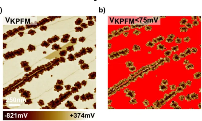 Figure S2. (a) KPFM image of the WSe 2 /Graphene sample (V tip  =VKPFM, surface potential, same image  as the one displayed in Figure 2)