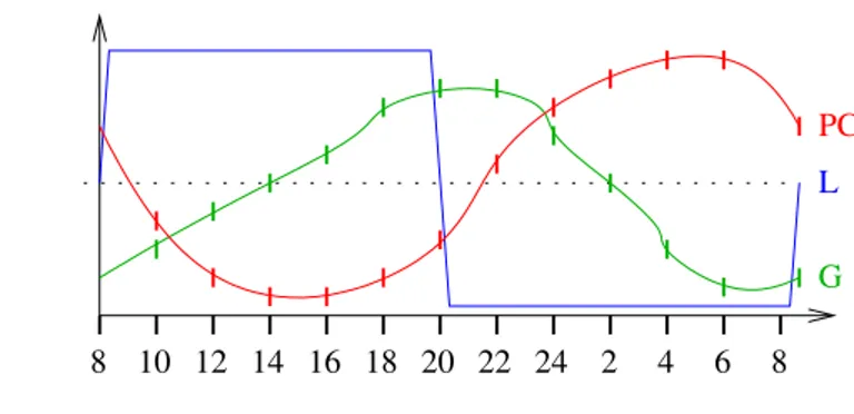 Figure 1.6. Exemple de courbes expérimentales : après allumage de la lumière L, Per-Cry (P C) est dégradé, puis les gènes de l’horloge G s’expriment, puis la lumière est éteinte, les complexes Per-Cry sont produits par les gènes de l’horloge et les gènes d