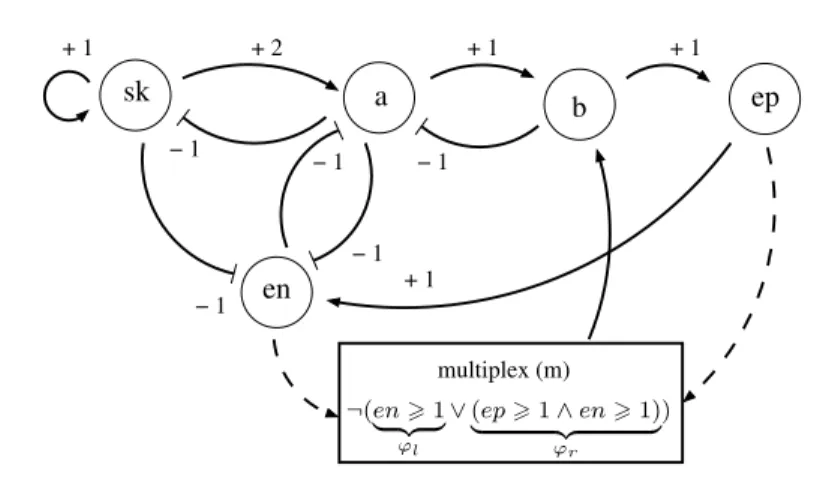 Figure 1.9. Graphe d’influences du cycle cellulaire simplifié des mammifères. Dans cette figure, un arc (u, v) étiqueté par n (resp