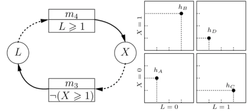 Figure 1.11. Gauche : le sous réseau de régulation permettant l’alternance de la lumière