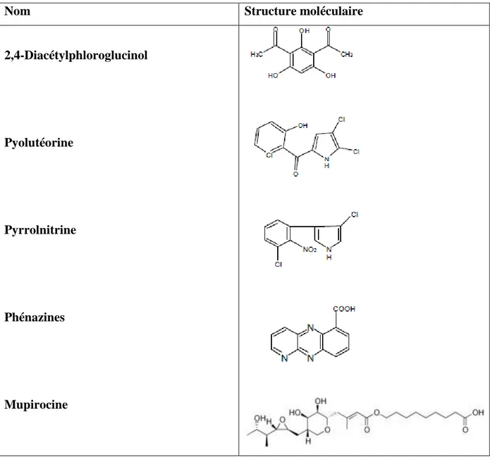 Tableau 3 : Principaux antibiotiques sécrétées par les Pseudomonas fluorescents  (modifié de Dwivedi et al., 2003)