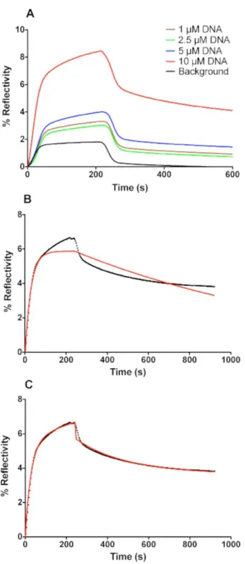 Figure 5. SPRi kinetic curves of PFV-1 IN (200 nM) interacting with immobilized dsDNA on the pre-treated surface