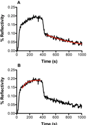 Figure 7. Cartoon describing the model for PFV-1 IN binding to DNA and subsequent accretion of proteins