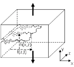 Figure 14. Sketch and notation of a crack front propagating in a 3D material.