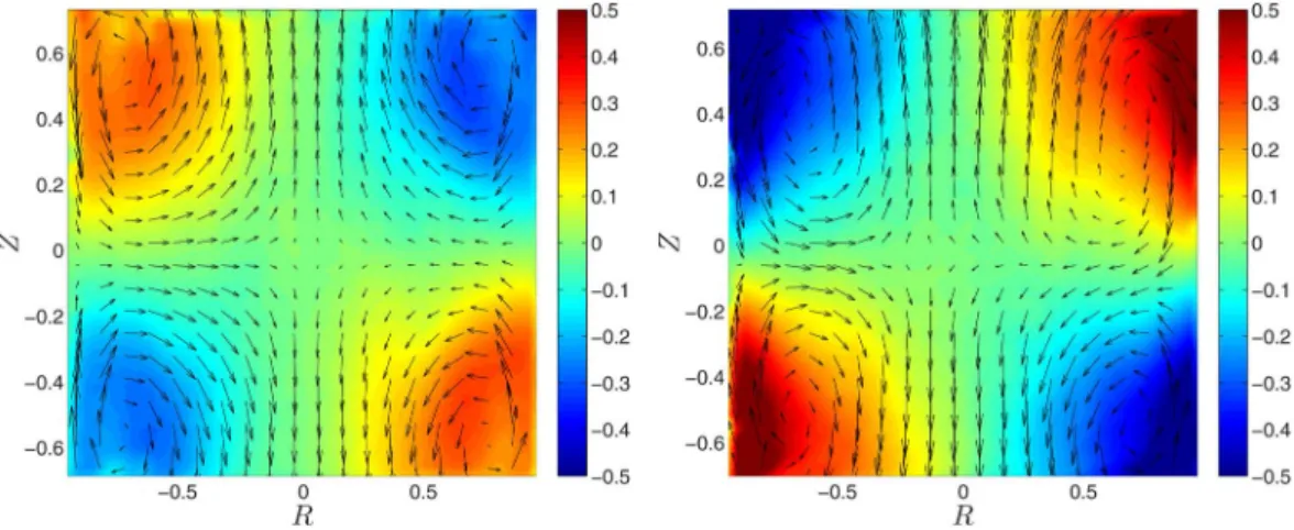 FIG. 2. Structure of the mean velocity field for θ = 0. The arrows represents directions and intensities of the velocity components in the PIV plan averaged over time ( ¯u , v¯ )