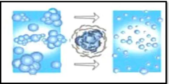 Figure 2. La structure de l'eau dynamisée en micromolécules (Microcluster) 