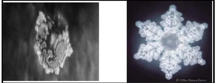 Figure 3. Cristaux de Masaru Emoto (un Médecin chercheur Japonais) (Emoto, 1999)  La surface de tension d'une eau magnétisée est abaissée ce qui lui confère des propriétés plus  mouillantes