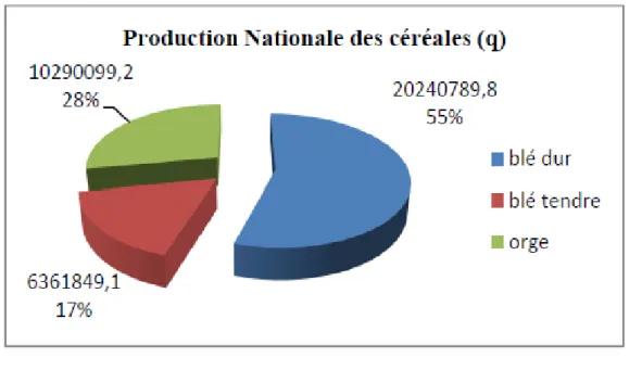 Figure 4 : La production nationale des céréales lors de la campagne 2014/2015      