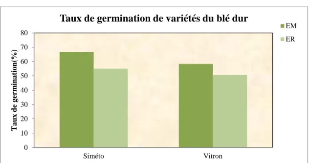 Figure 15. Effet de la magnétisation de l’eau sur le taux de germination de variété du blé dur